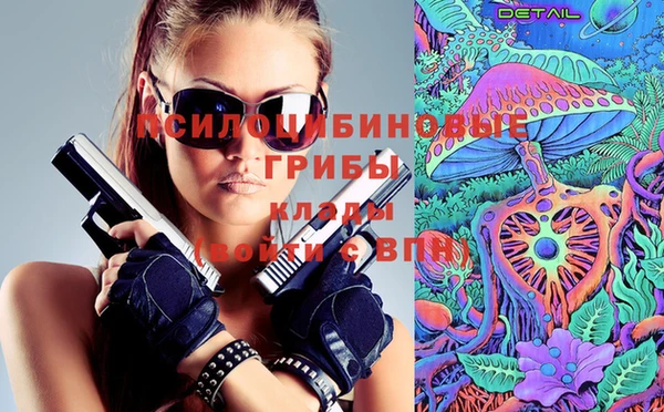 сатива Алексин